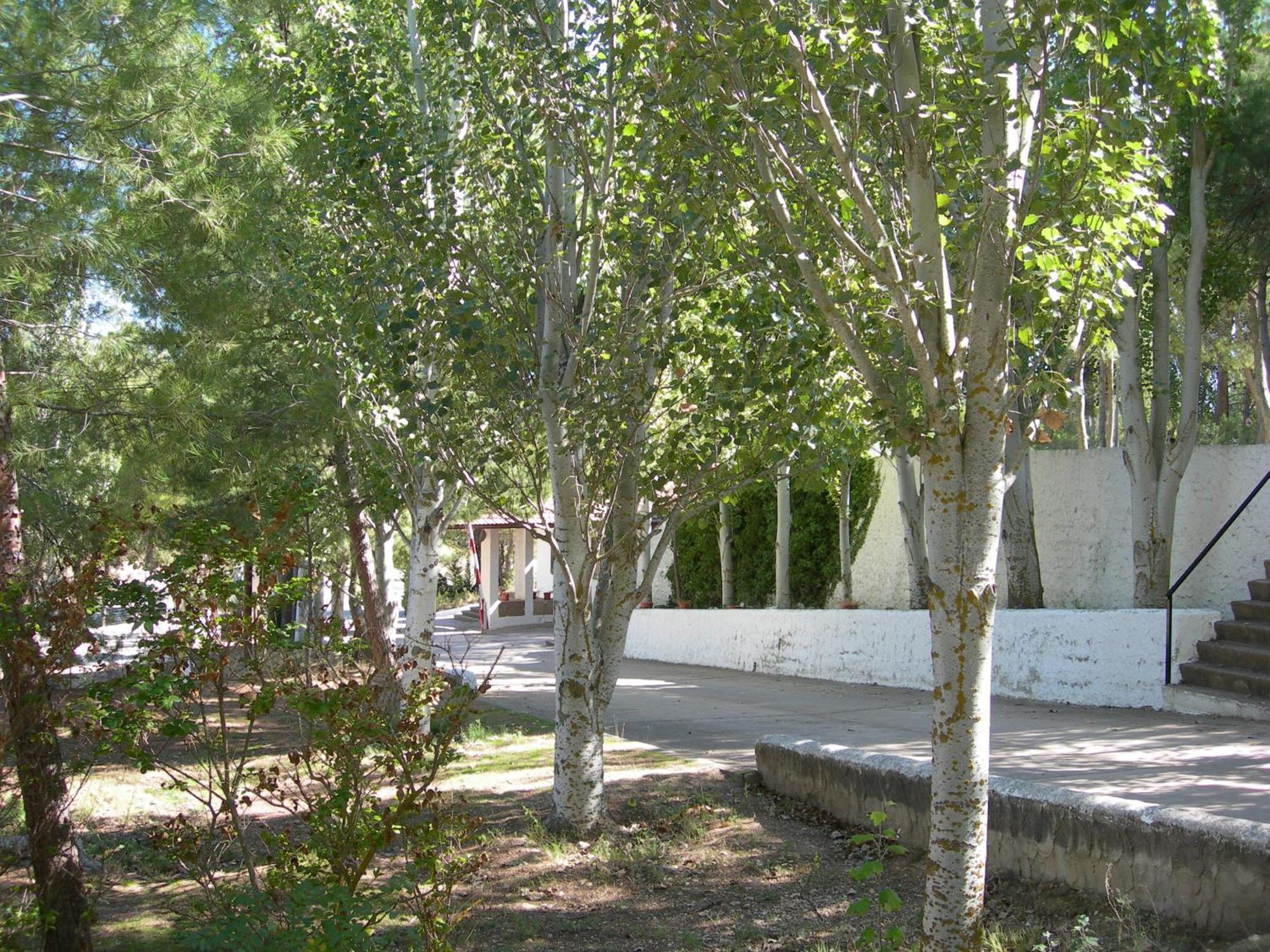 Lago Resort Nuévalos Exterior photo